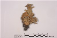 藏品(柄扇牛皮葉衣)的圖片